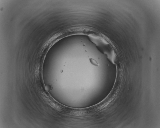 X0000086300778200704091020