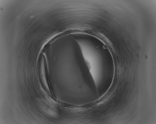 X0000086300779200704091020