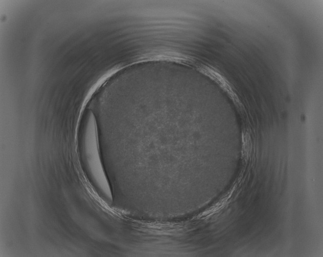 X0000086300780200704091020