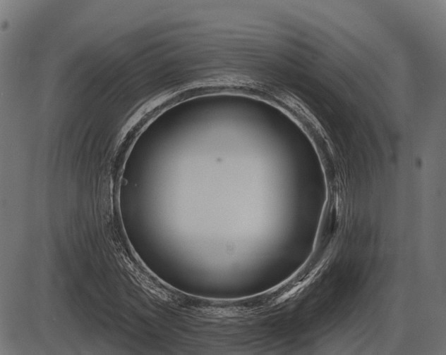 X0000086300781200704091020