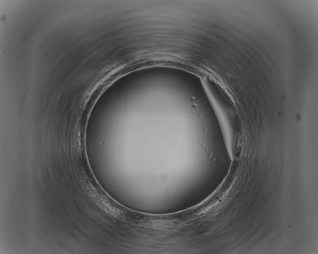 X0000086300782200704091020