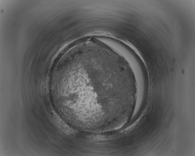 X0000086300783200704091020