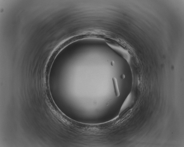 X0000086300784200704091020