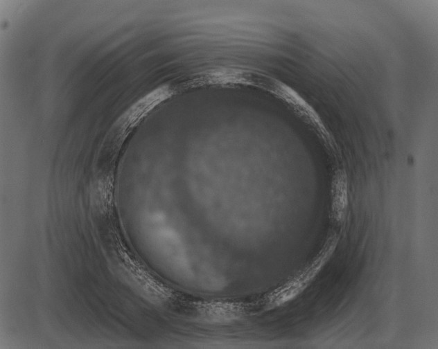 X0000086300785200704091020