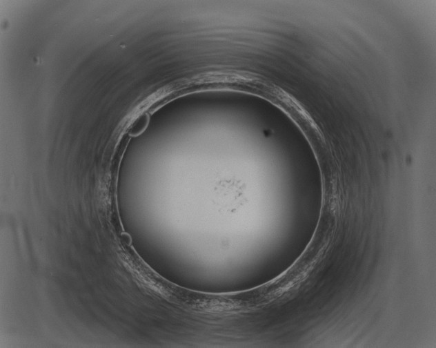 X0000086300786200704091020