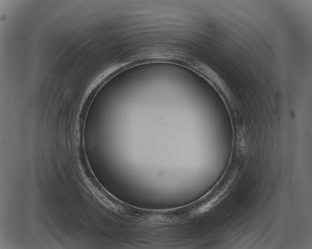 X0000086300787200704091020