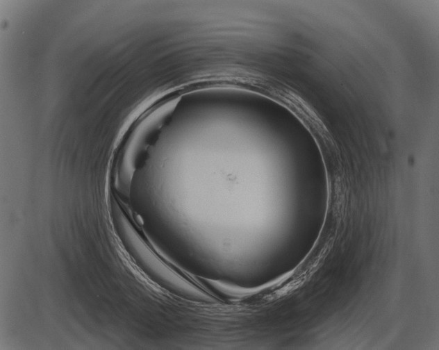 X0000086300788200704091020