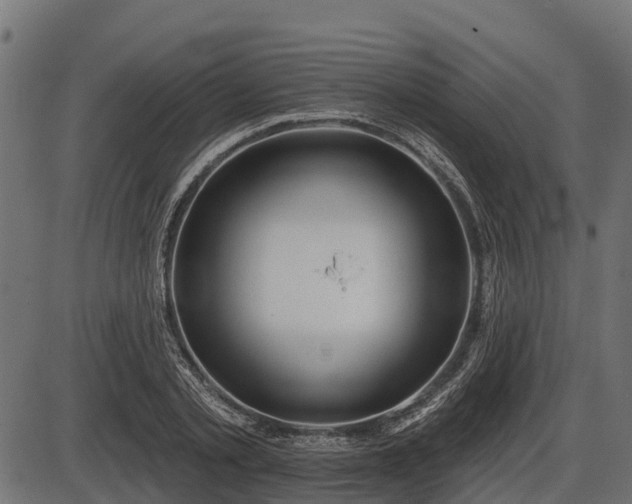 X0000086300789200704091020