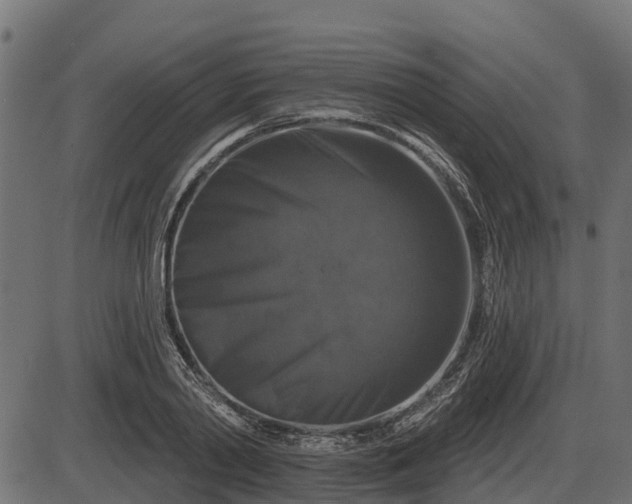 X0000086300790200704091020