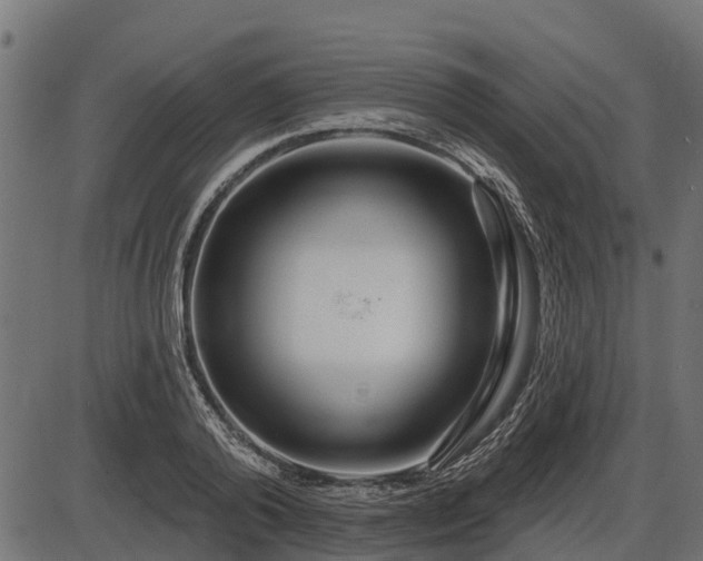 X0000086300792200704091020