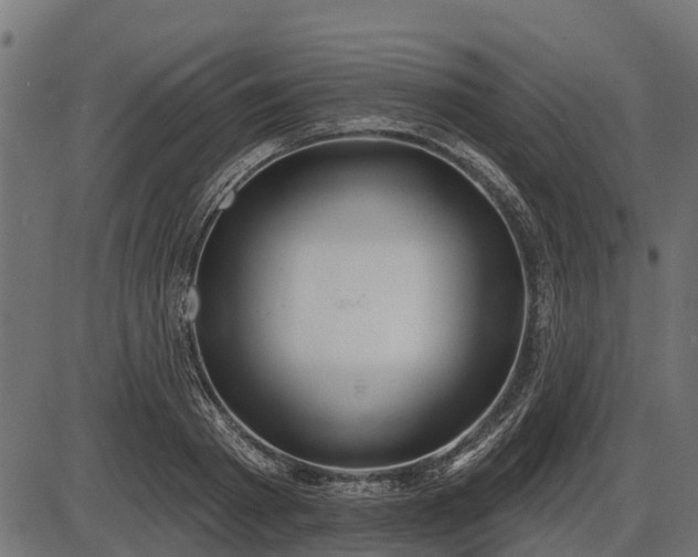 X0000086300793200704091020