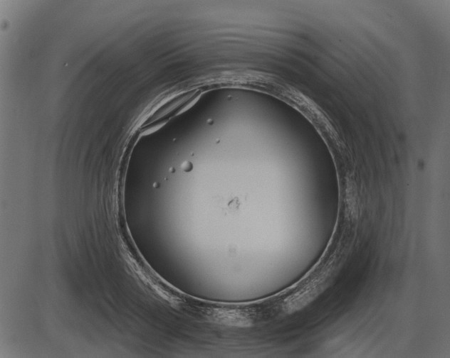 X0000086300794200704091020