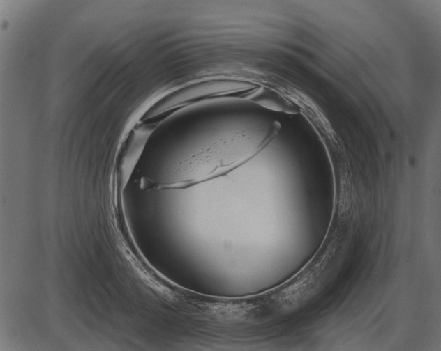 X0000086300796200704091020