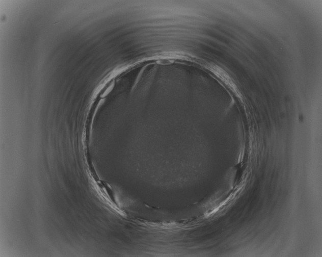 X0000086300797200704091020