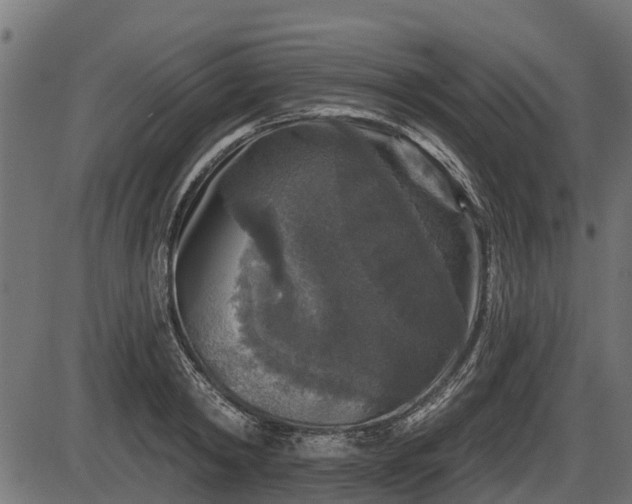 X0000086300798200704091020