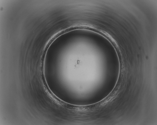 X0000086300799200704091020