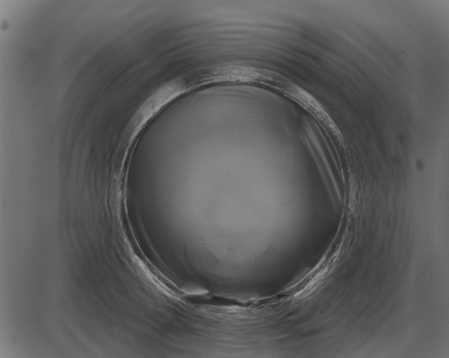 X0000086300802200704091020