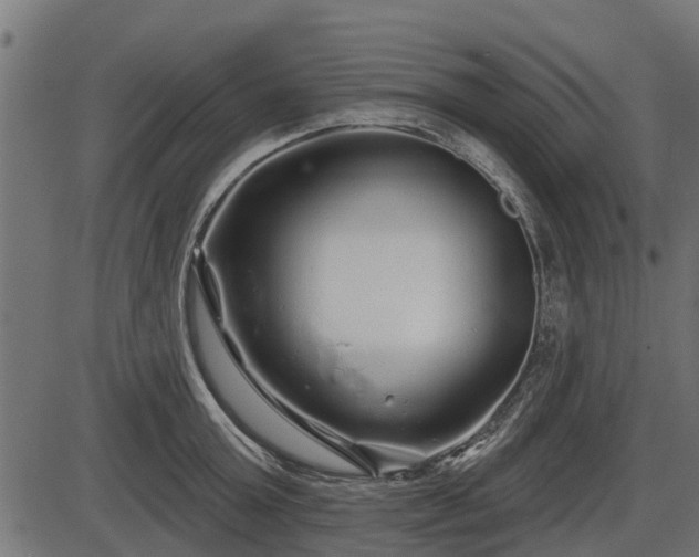 X0000086300803200704091020