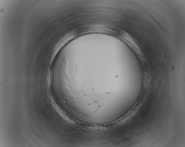 X0000086300804200704091020