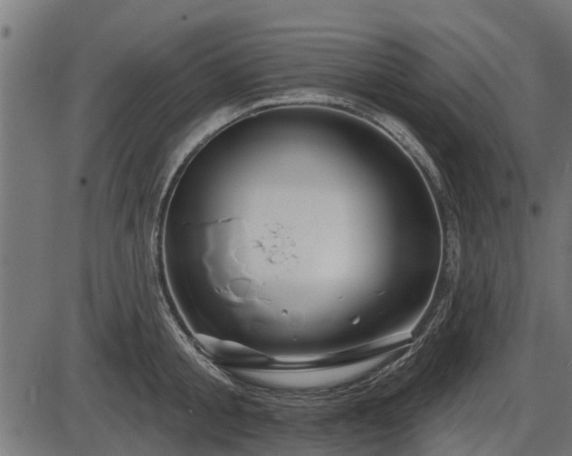 X0000086300805200704091020