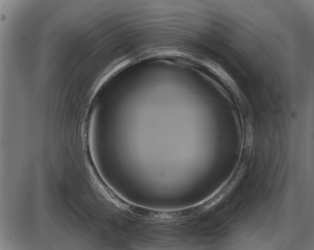 X0000086300806200704091020