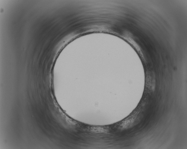 X0000086300807200704091020