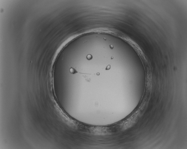 X0000086300808200704091020