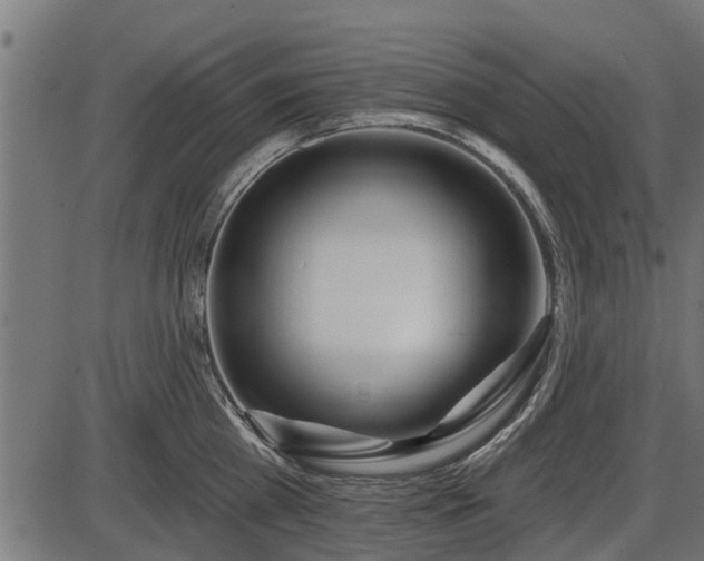 X0000086300809200704091020