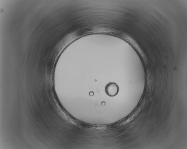 X0000086300810200704091020