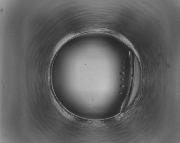 X0000086300811200704091019