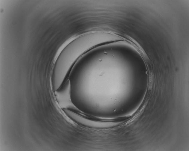 X0000086300812200704091019