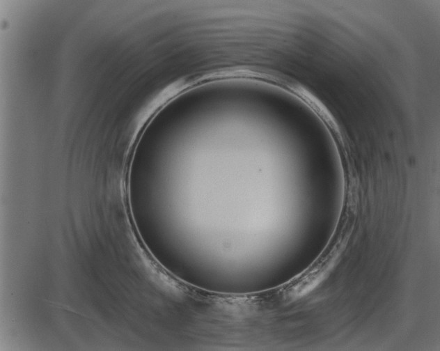 X0000086300813200704091019