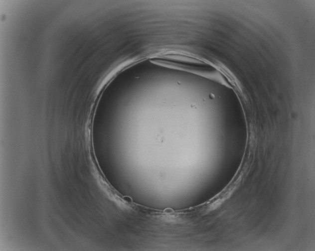 X0000086300814200704091019