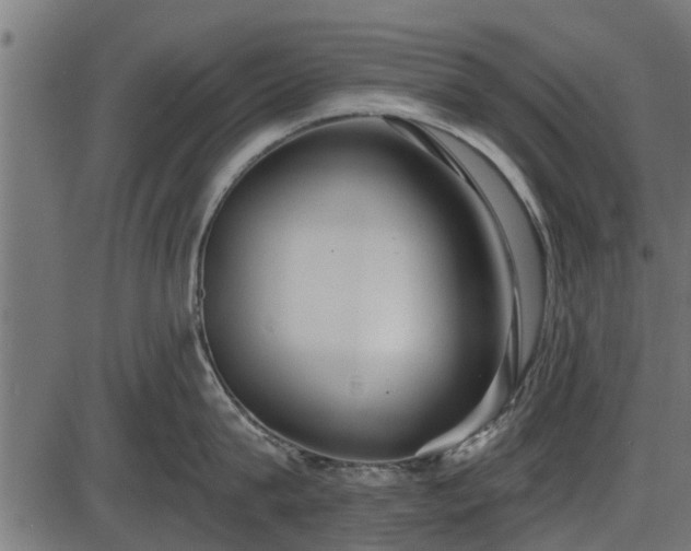 X0000086300815200704091019