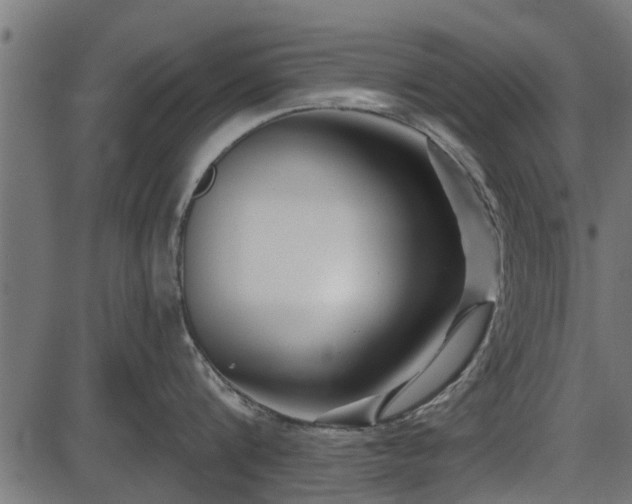 X0000086300816200704091019