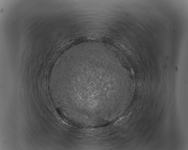 X0000086300817200704091019