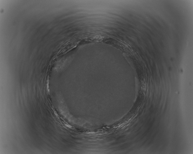 X0000086300818200704091019