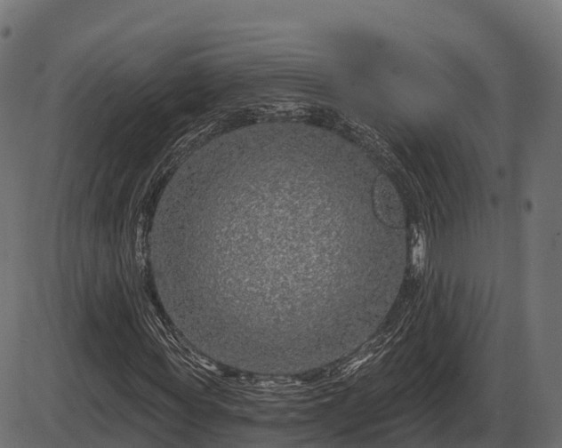 X0000086300819200704091019