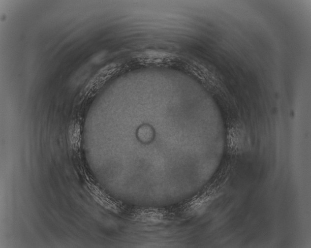 X0000086300820200704091019