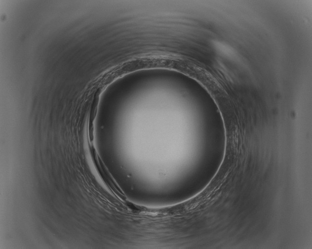 X0000086300821200704091019