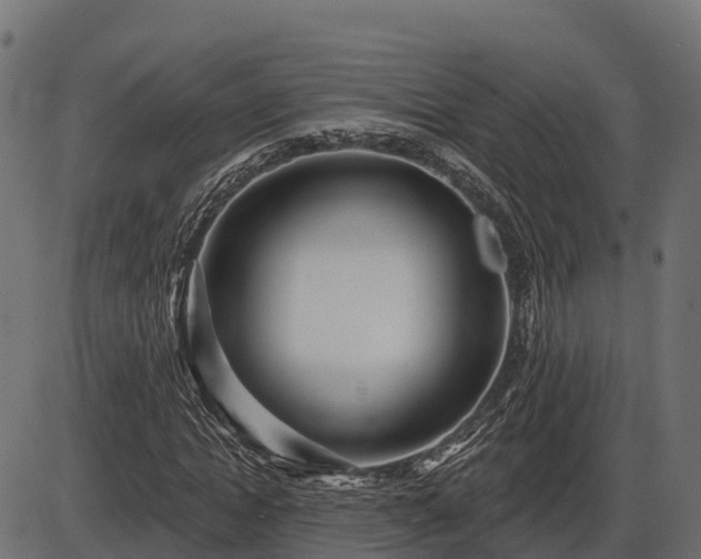 X0000086300822200704091019