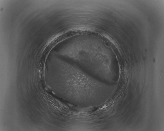 X0000086300823200704091019