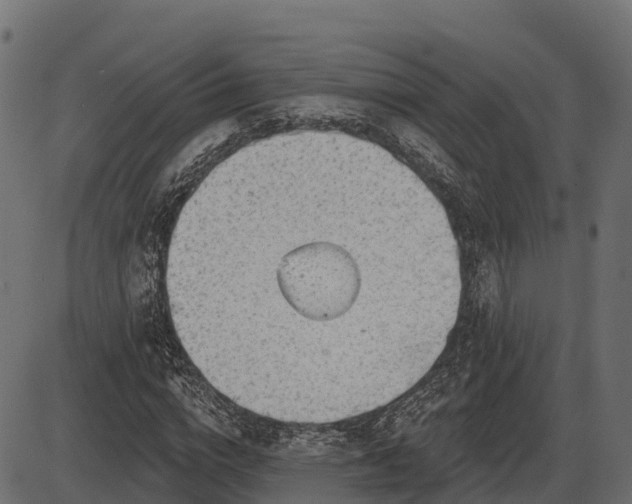 X0000086300824200704091019