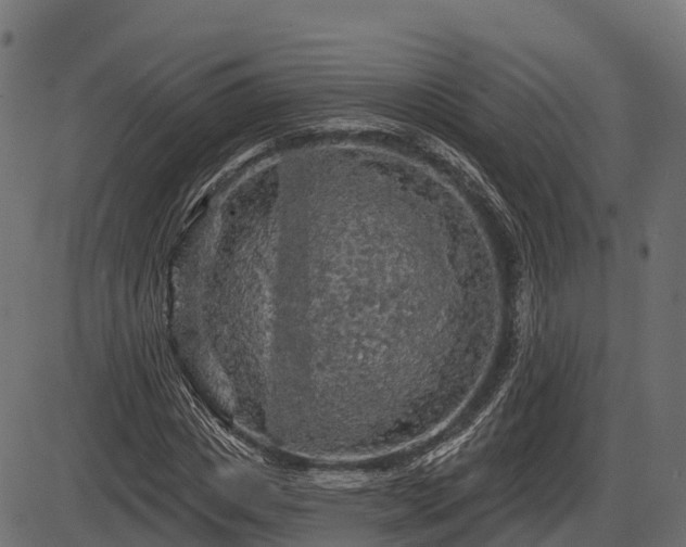 X0000086300825200704091019