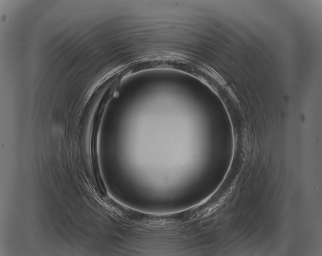 X0000086300826200704091019