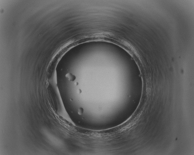 X0000086300827200704091019