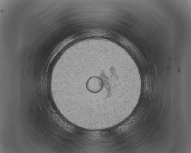 X0000086300828200704091019