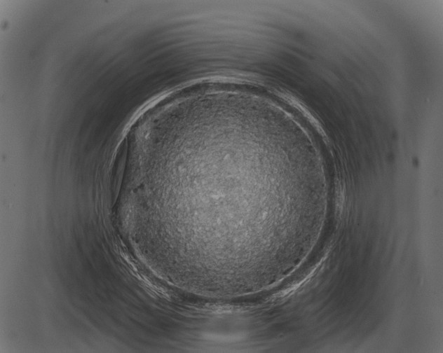 X0000086300829200704091019