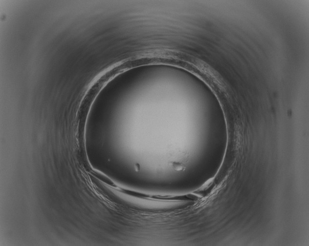 X0000086300830200704091019