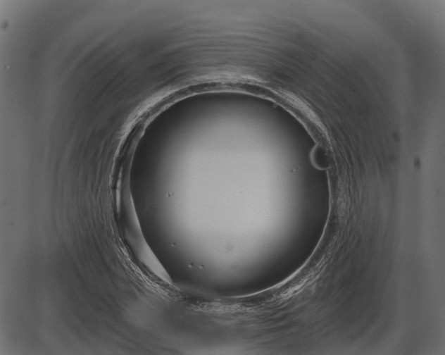 X0000086300831200704091019